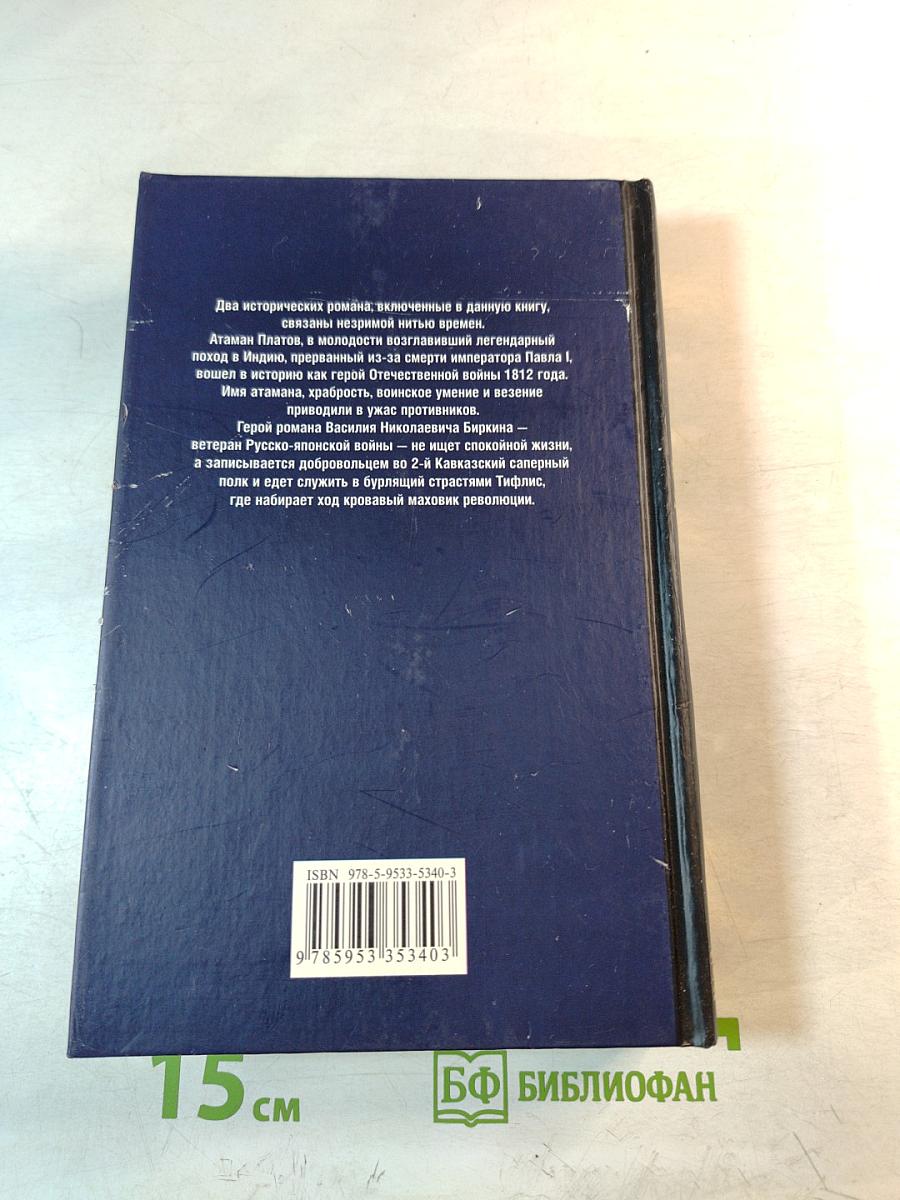 Атаман Платов. Осиное гнездо