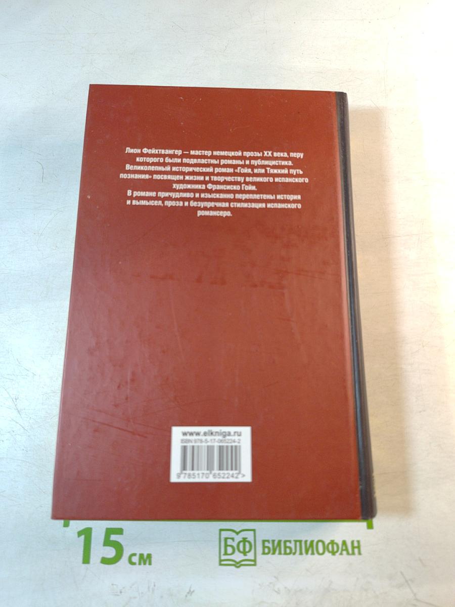 Гойя, или Тяжкий путь познания