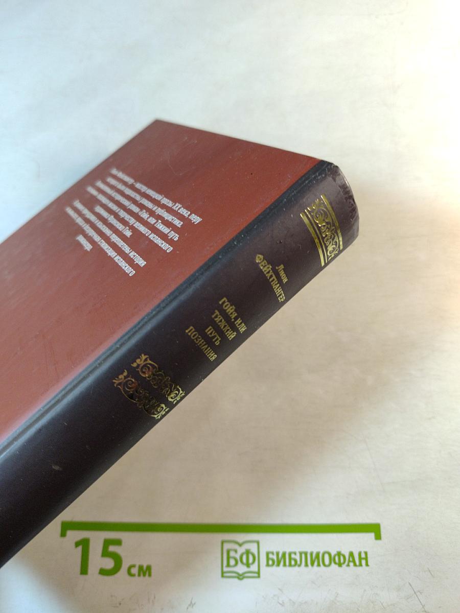 Гойя, или Тяжкий путь познания