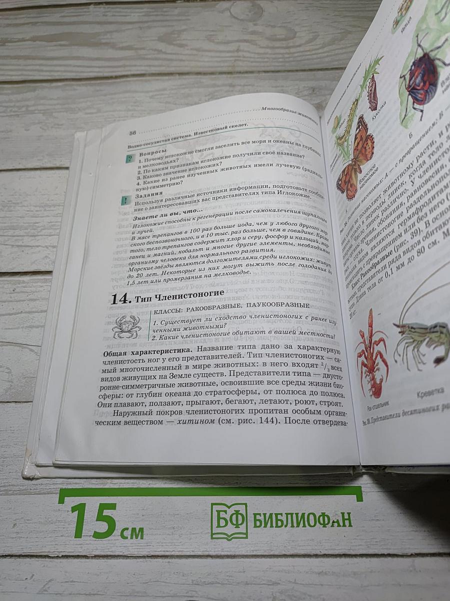 Биология. Животные