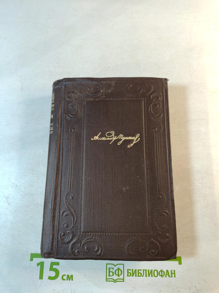 Полное собрание сочинений. Том 6. Книга первая: Критика, история, автобиография