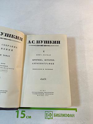 Полное собрание сочинений. Том 6. Книга первая: Критика, история, автобиография
