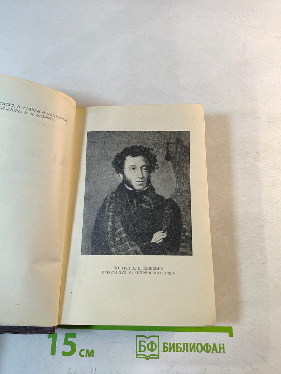 Полное собрание сочинений. Том 6. Книга первая: Критика, история, автобиография
