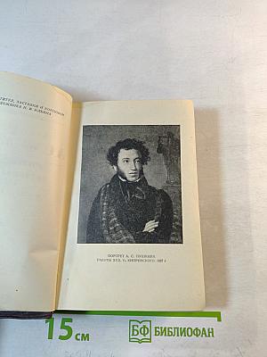 Полное собрание сочинений. Том 6. Книга первая: Критика, история, автобиография