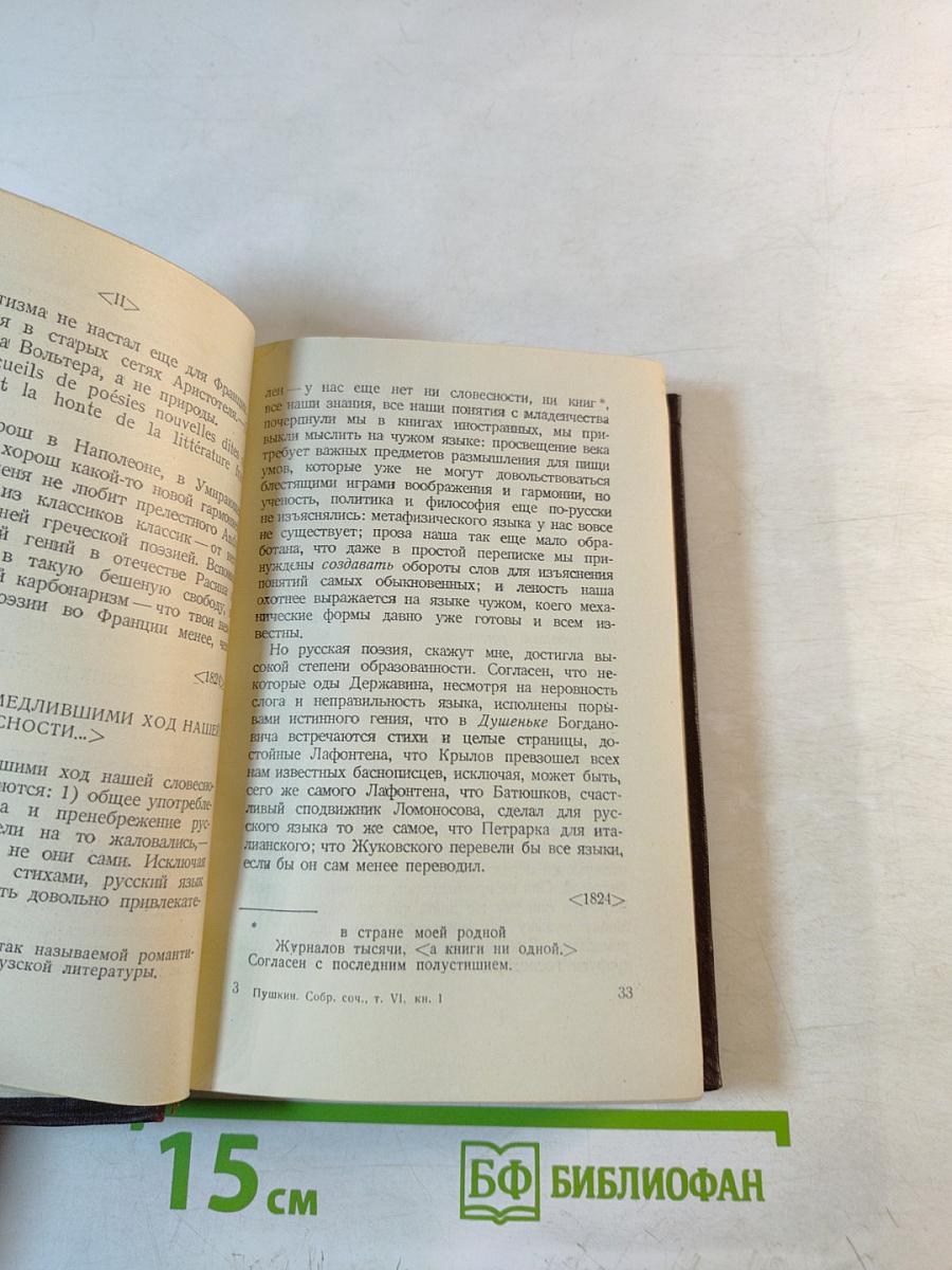Полное собрание сочинений. Том 6. Книга первая: Критика, история, автобиография