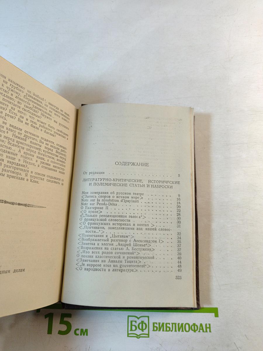 Полное собрание сочинений. Том 6. Книга первая: Критика, история, автобиография