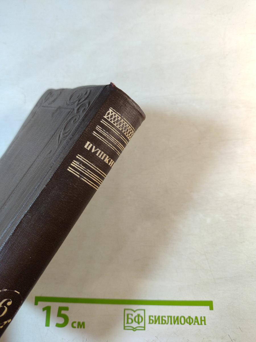 Полное собрание сочинений. Том 6. Книга первая: Критика, история, автобиография