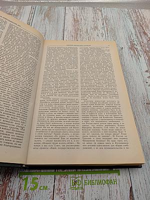 Наш девятнадцатый век. Часть I. Книга для чтения в X классе
