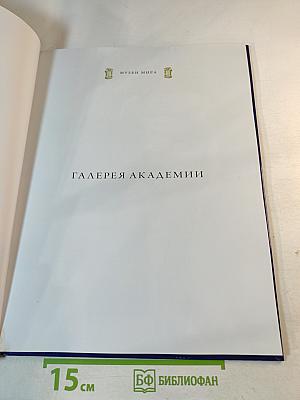 Галерея Академии