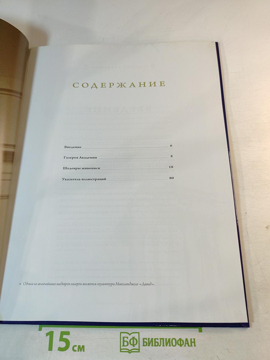 Галерея Академии