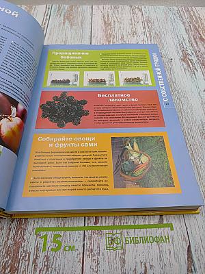 Как накрыть царский стол не выходя из бюджета