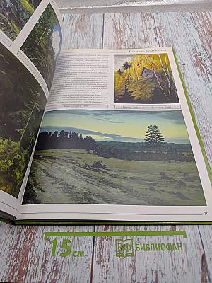 Великие художники. Константин Алексеевич Васильев. Том 50