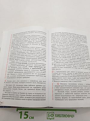 Русский язык и литература. 10–11 классы. Базовый уровень