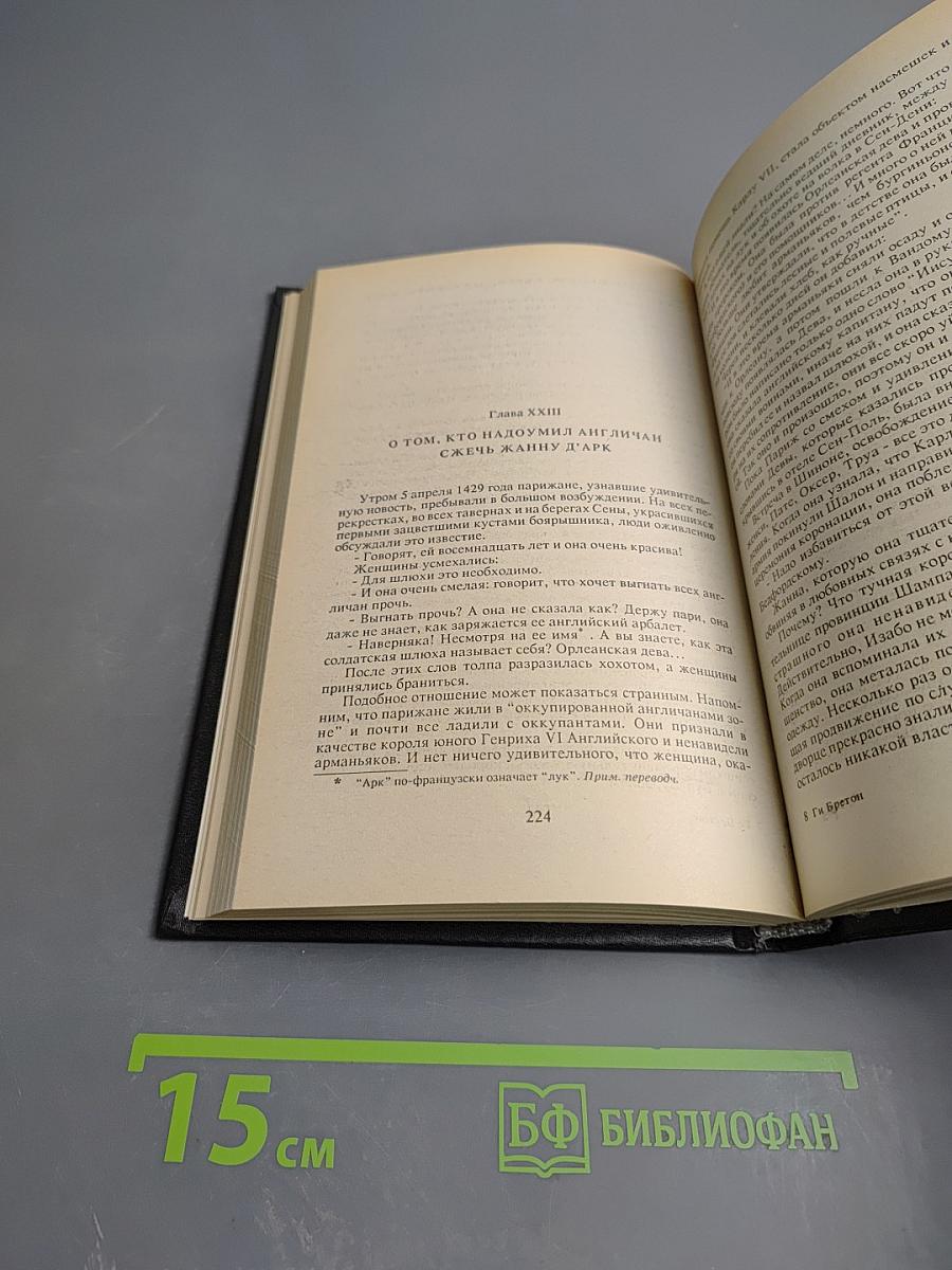 Любовные истории в истории Франции. Книга I