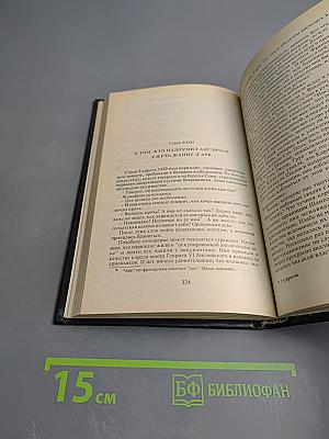 Любовные истории в истории Франции. Книга I