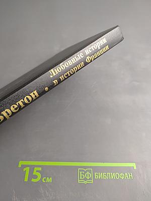 Любовные истории в истории Франции. Книга I