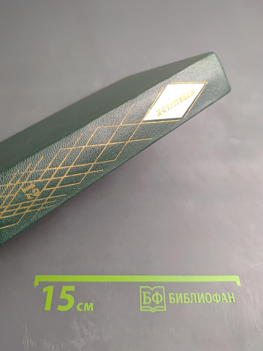 Избранные литературно-критические статьи, речи, воспоминания (1843-1881). Том двенадцатый