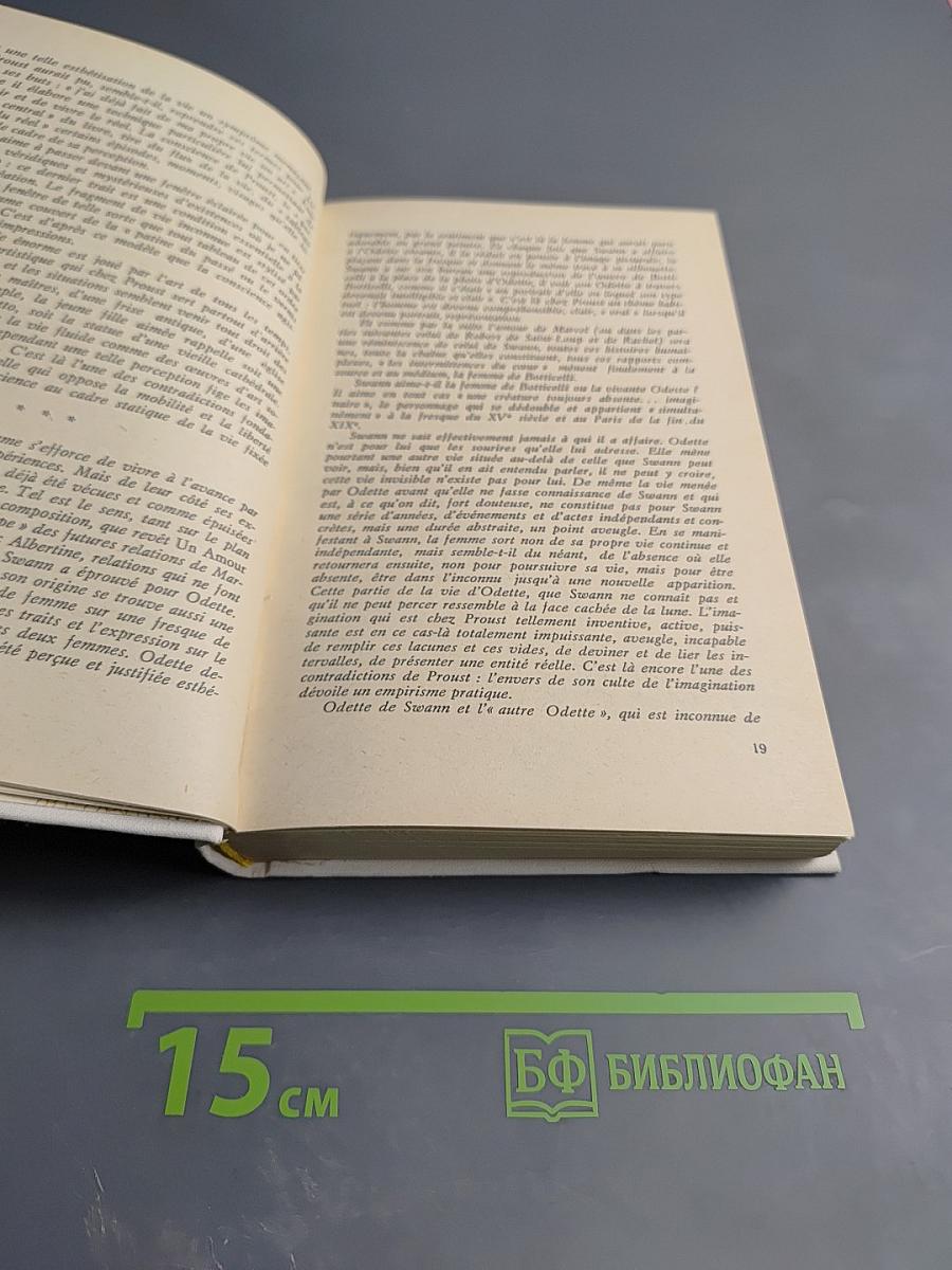 В поисках утраченного времени. В сторону Свана