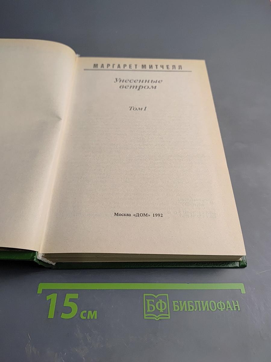 Унесенные ветром. Том 1
