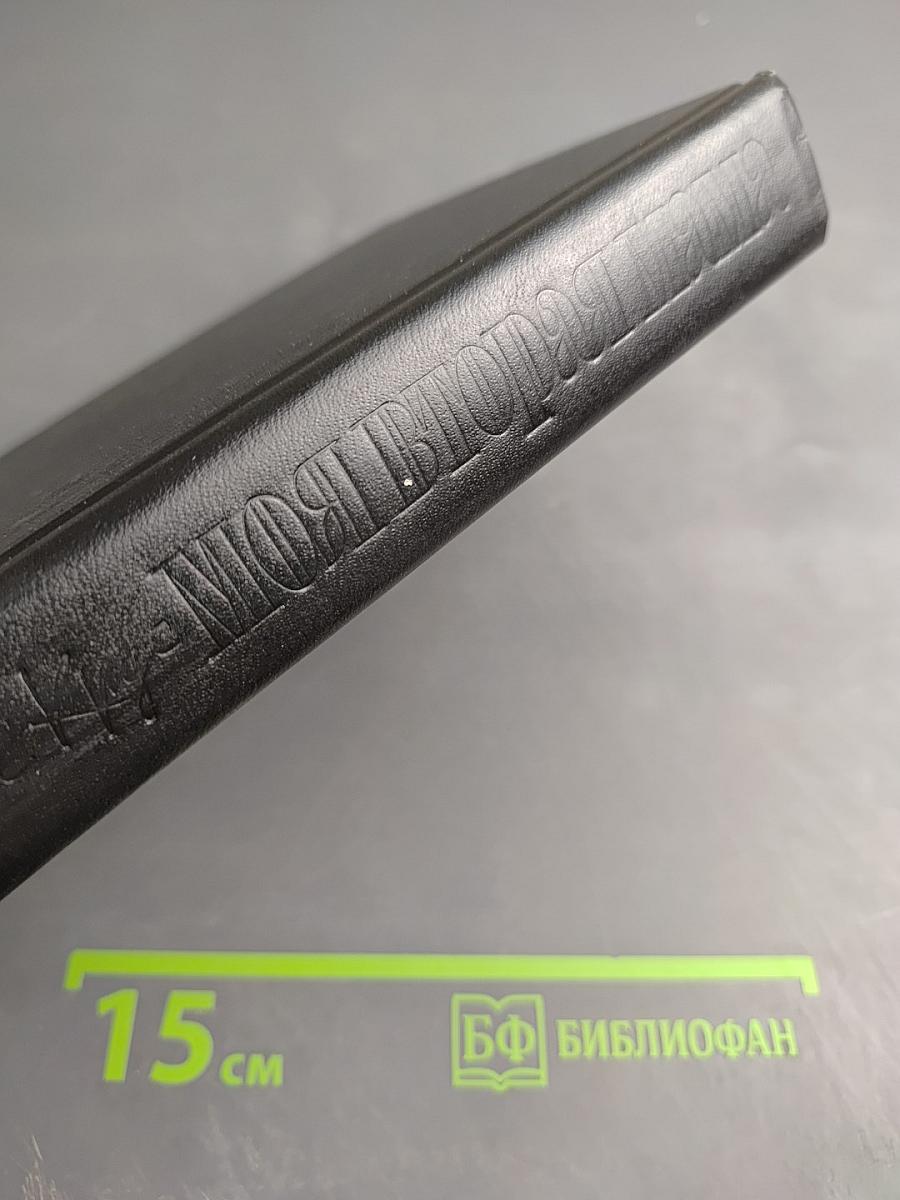 Моя вторая мама