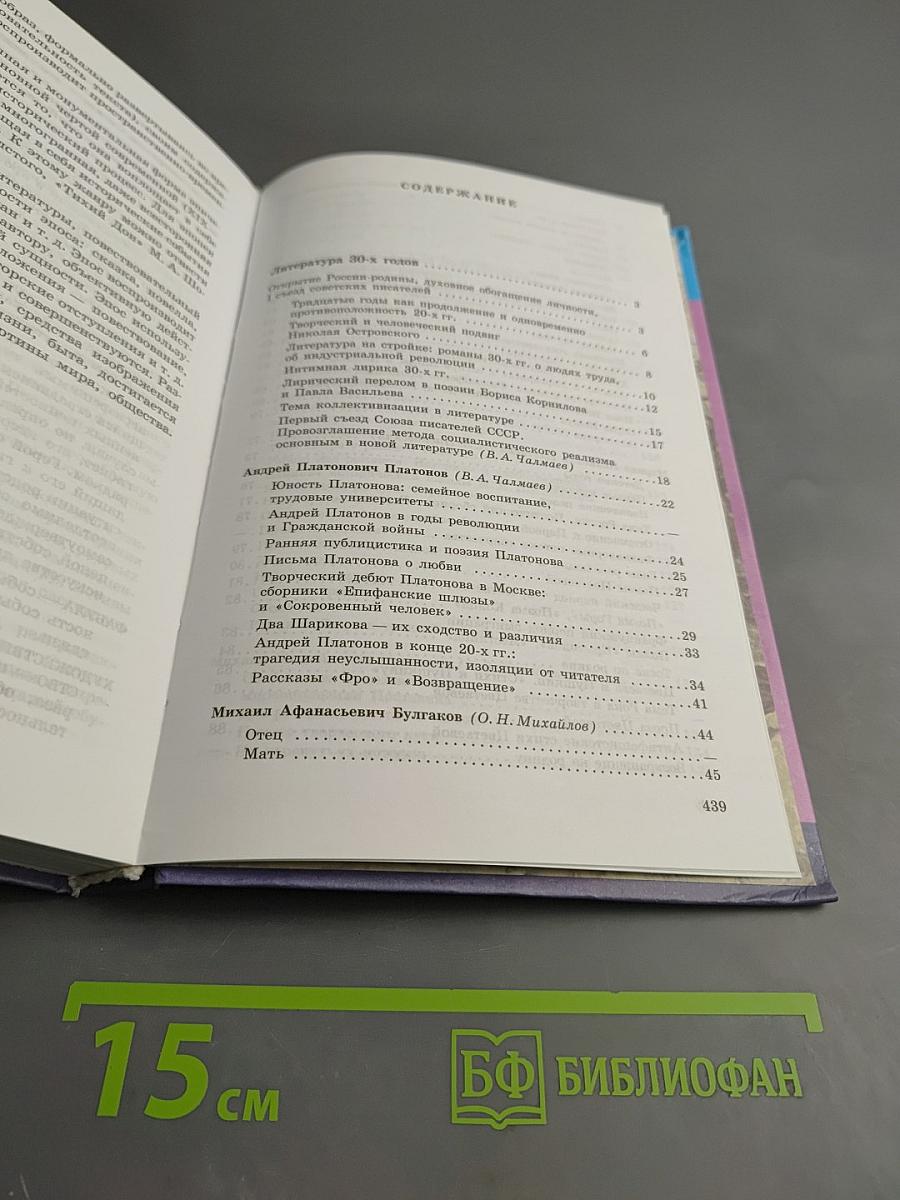 Литература. 11 класс. Часть 2