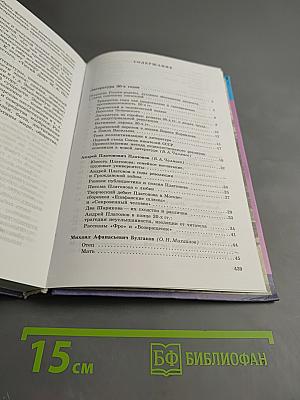 Литература. 11 класс. Часть 2