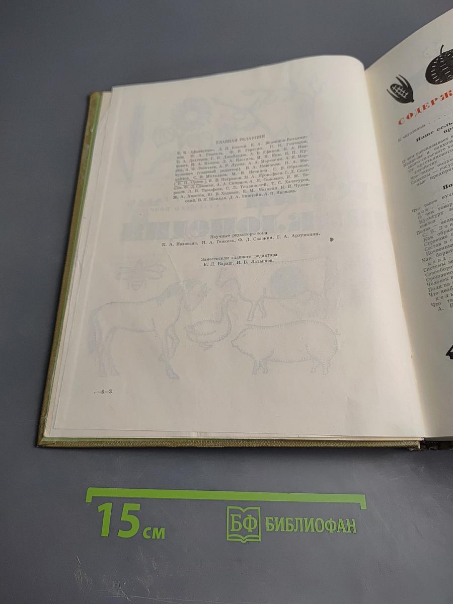 Детская энциклопедия