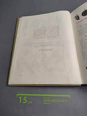 Детская энциклопедия