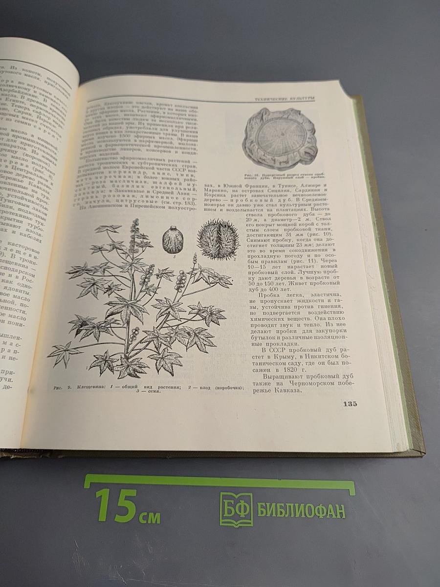 Детская энциклопедия