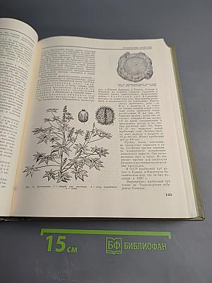 Детская энциклопедия