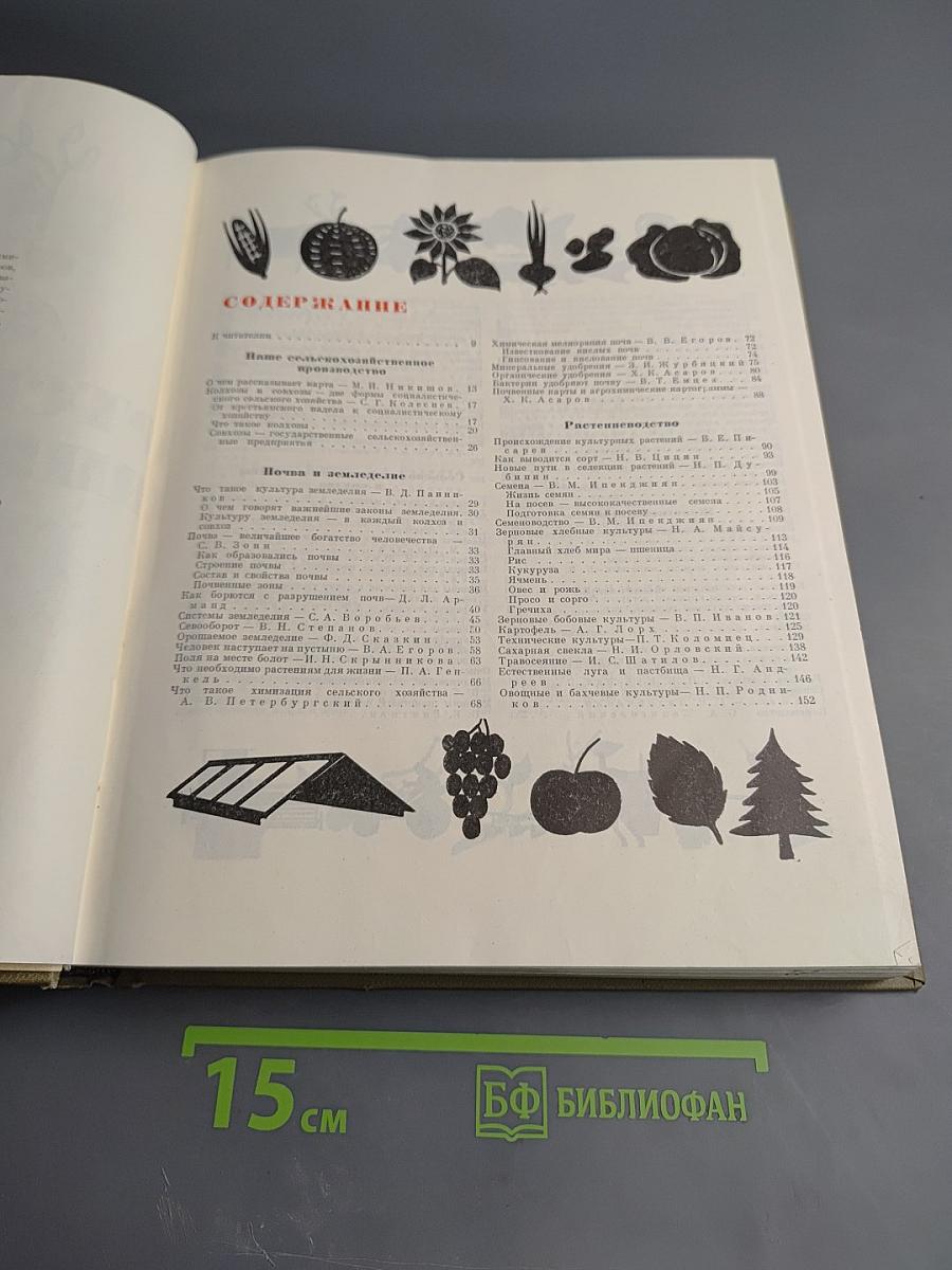 Детская энциклопедия