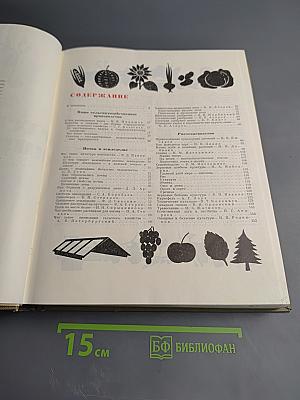 Детская энциклопедия