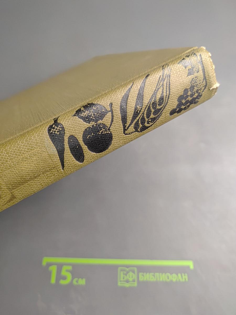 Детская энциклопедия