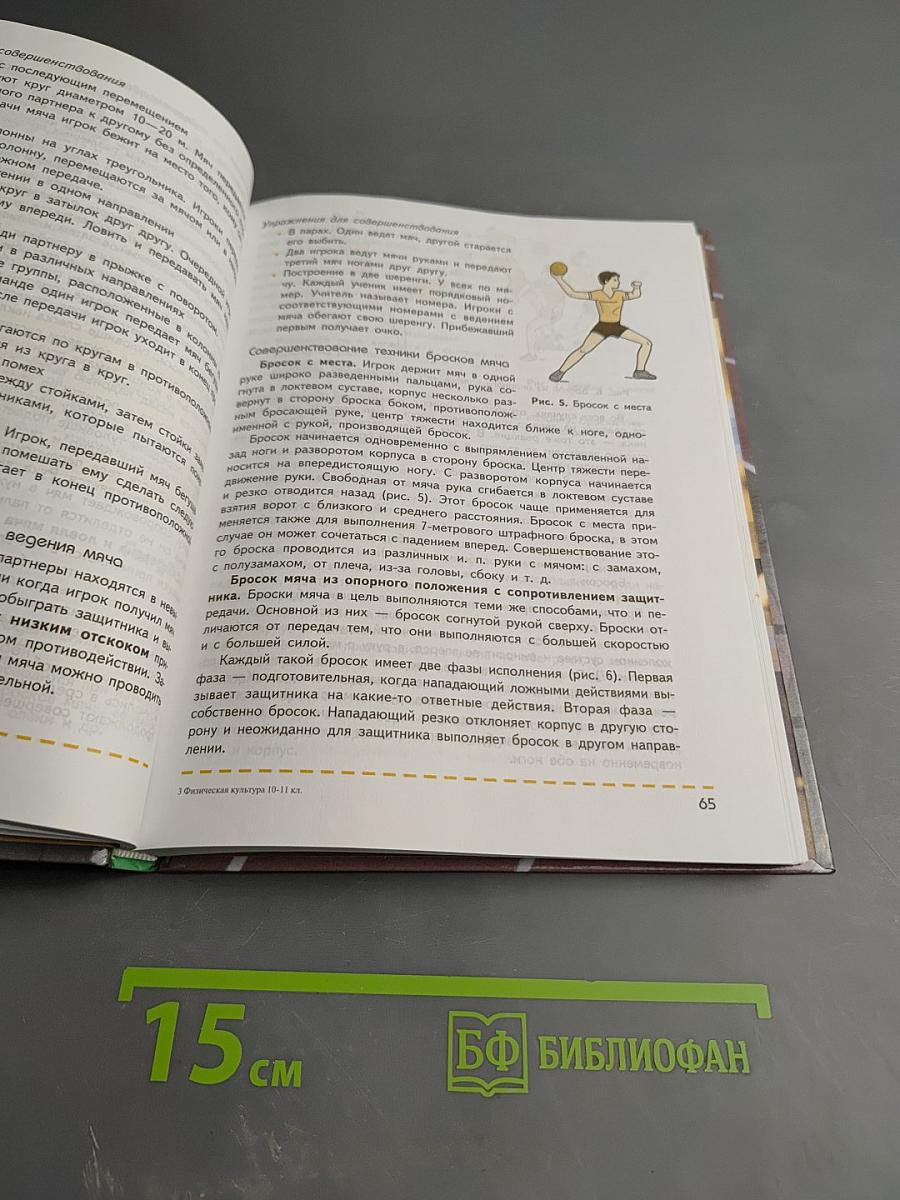 Физическая культура 10-11 классы