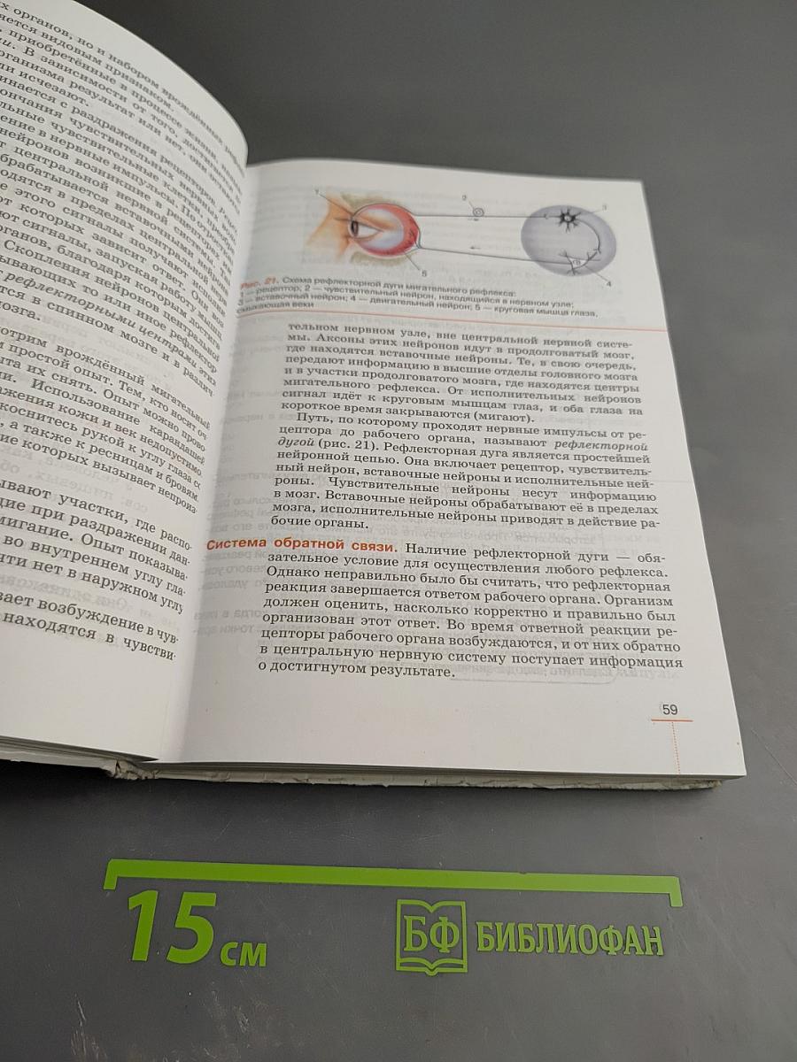 Биология. Человек для 8 класса