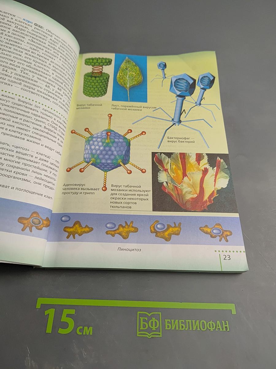 Биология для 6 класса