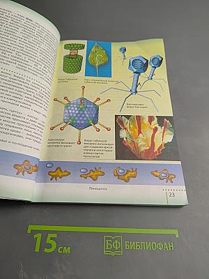 Биология для 6 класса