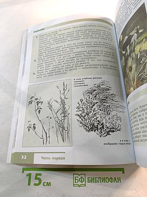 Изобразительное искусство. Искусство в жизни человека. 6 класс