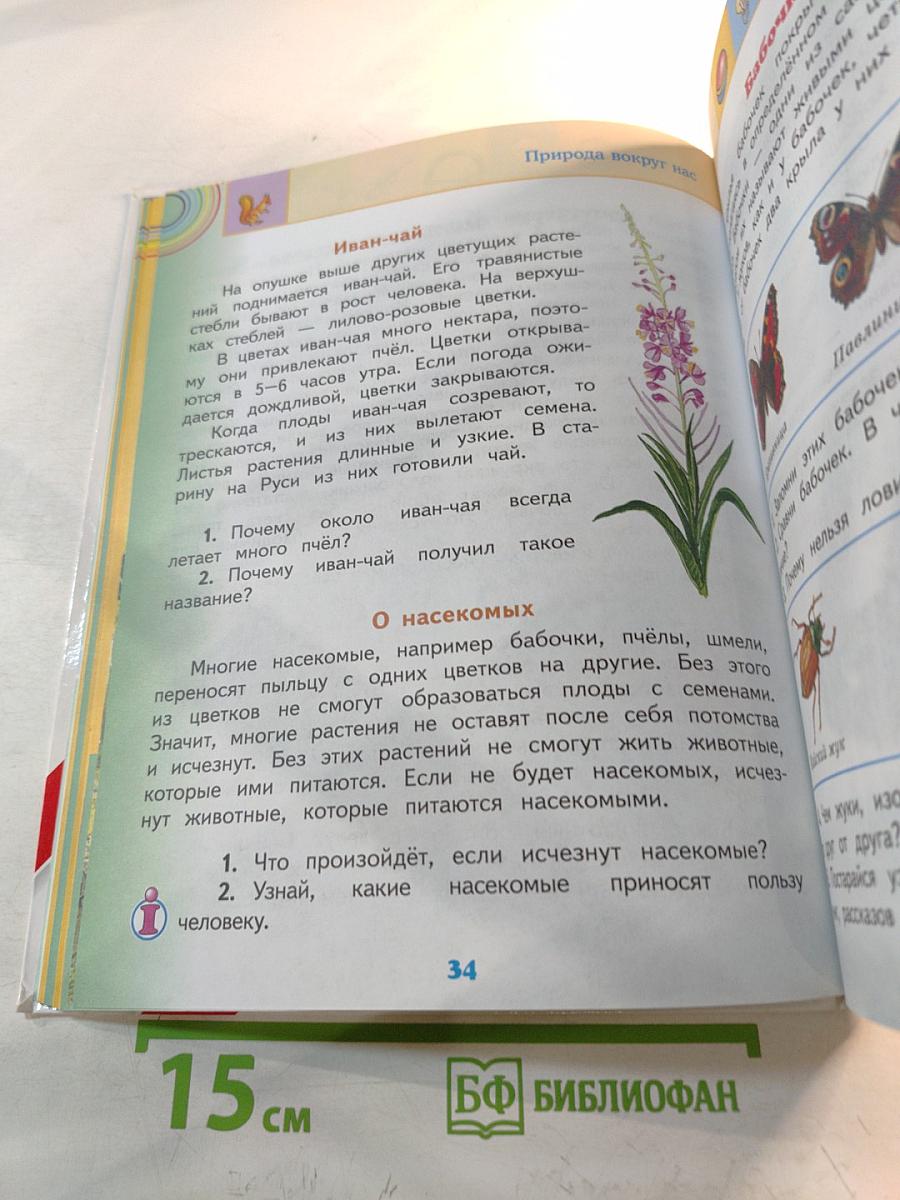 Окружающий мир 2 класс Часть 2