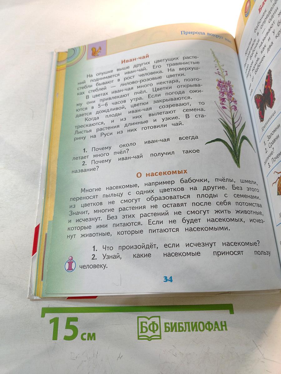 Окружающий мир 2 класс Часть 2