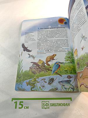 Биология. 5 класс