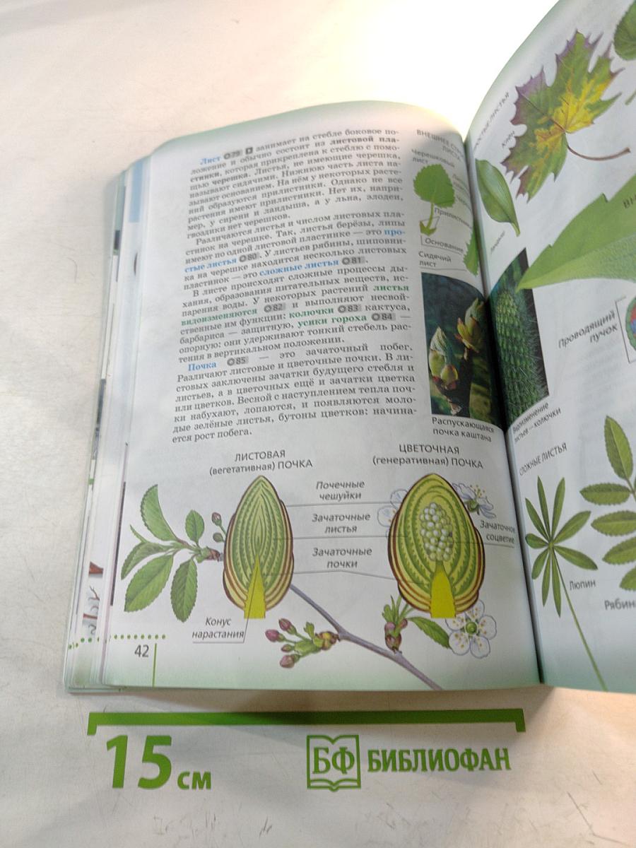 Биология для 6 класса