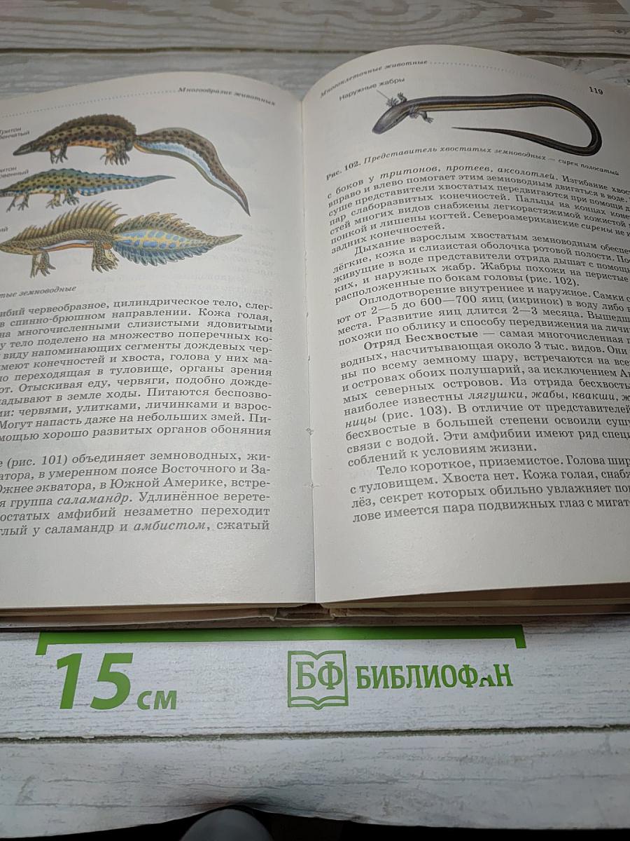 Биология. Животные