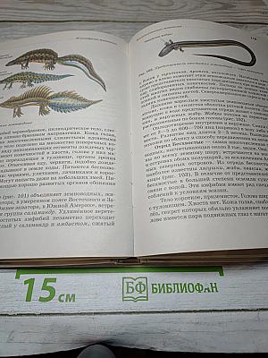 Биология. Животные
