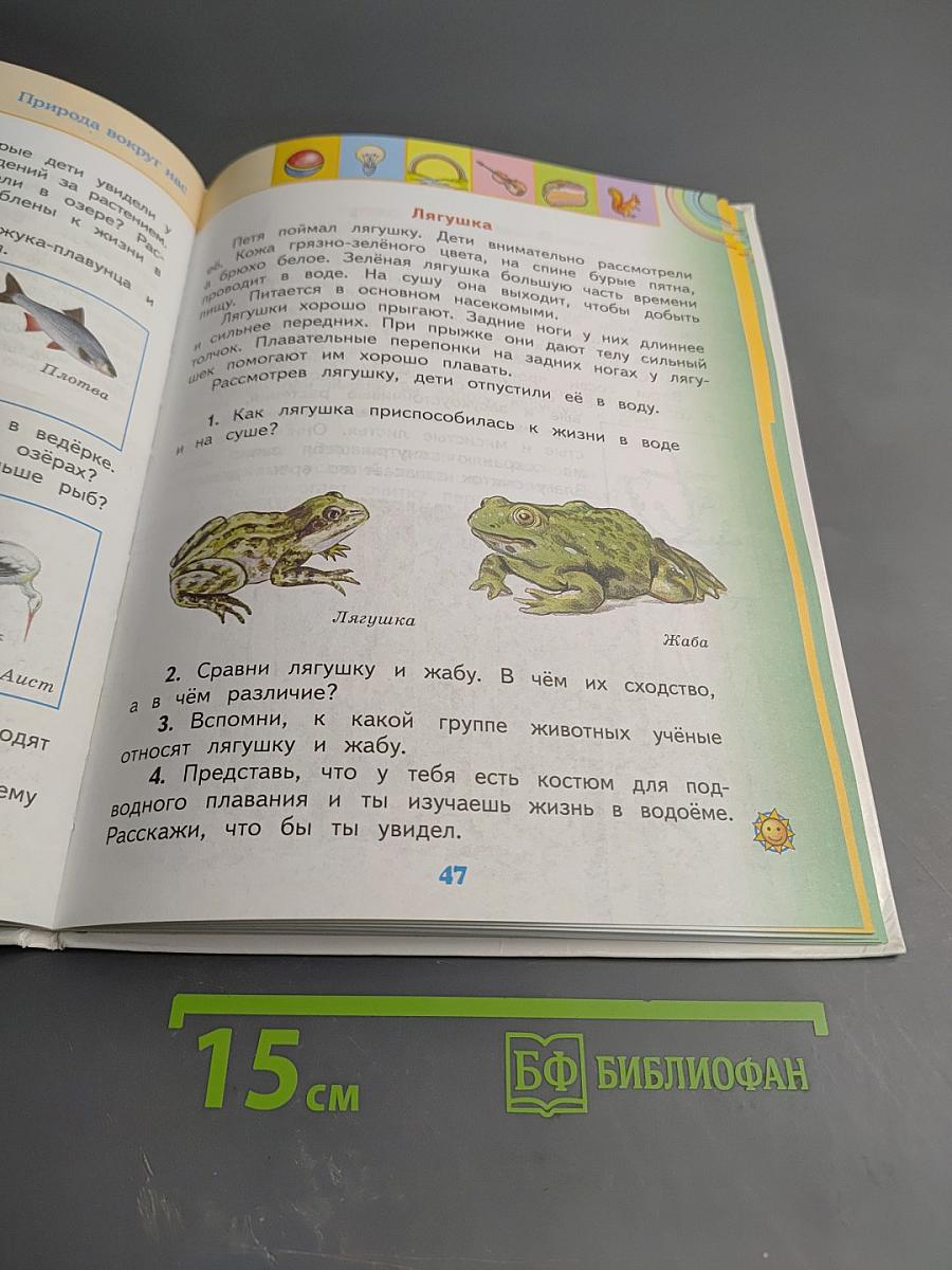 Окружающий мир 2 класс Часть 2