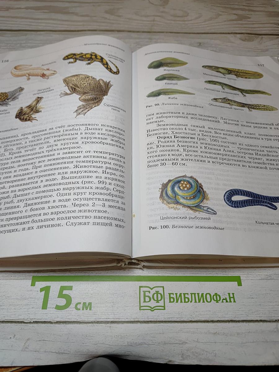 Биология. Животные