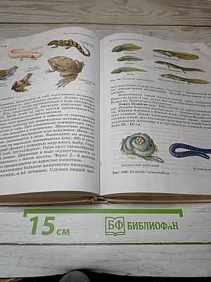 Биология. Животные