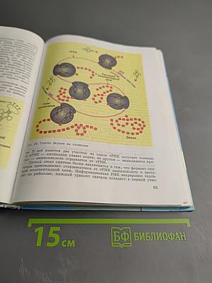 Биология. Общая биология. 10-11 классы