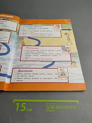 Окружающий мир 3 класс Часть 2