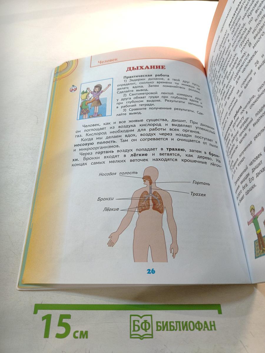 Окружающий мир, 3 класс, Часть 2